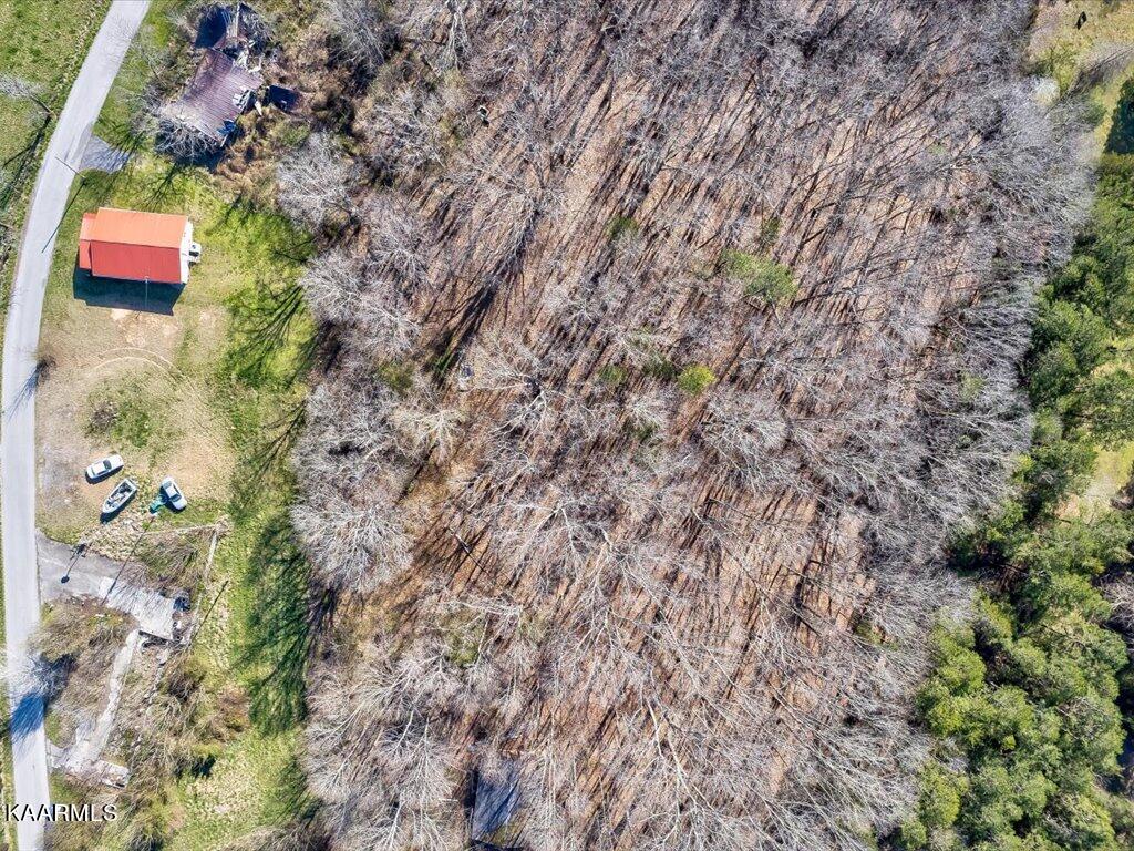 2 Wilson Road Speedwell, TN 37870 - Photo 13 of 28 Tract 2 Wilson Road - 13