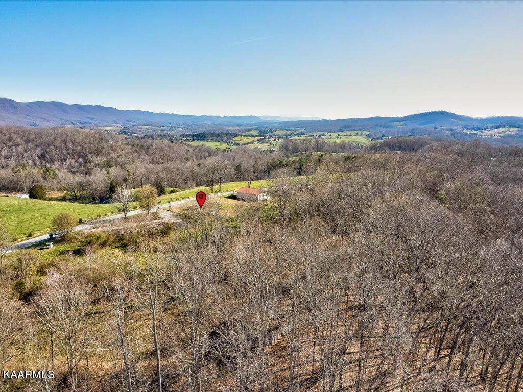2 Wilson Road Speedwell, TN 37870 - Photo 14 of 28 Tract 2 Wilson Road - 14