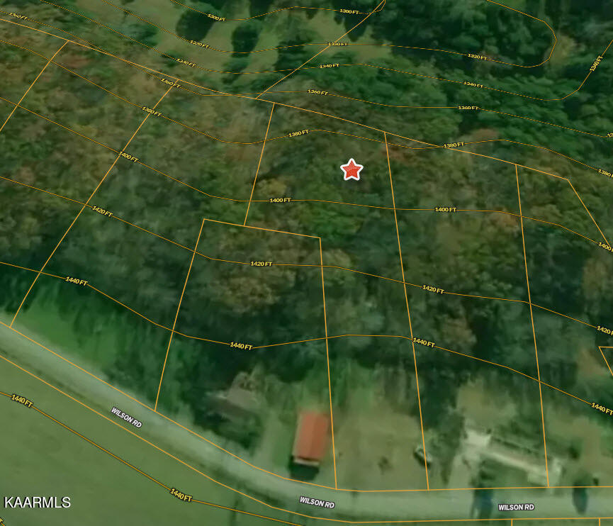2 Wilson Road Speedwell, TN 37870 - Photo 17 of 28 Tract 2 Wilson Road - 17