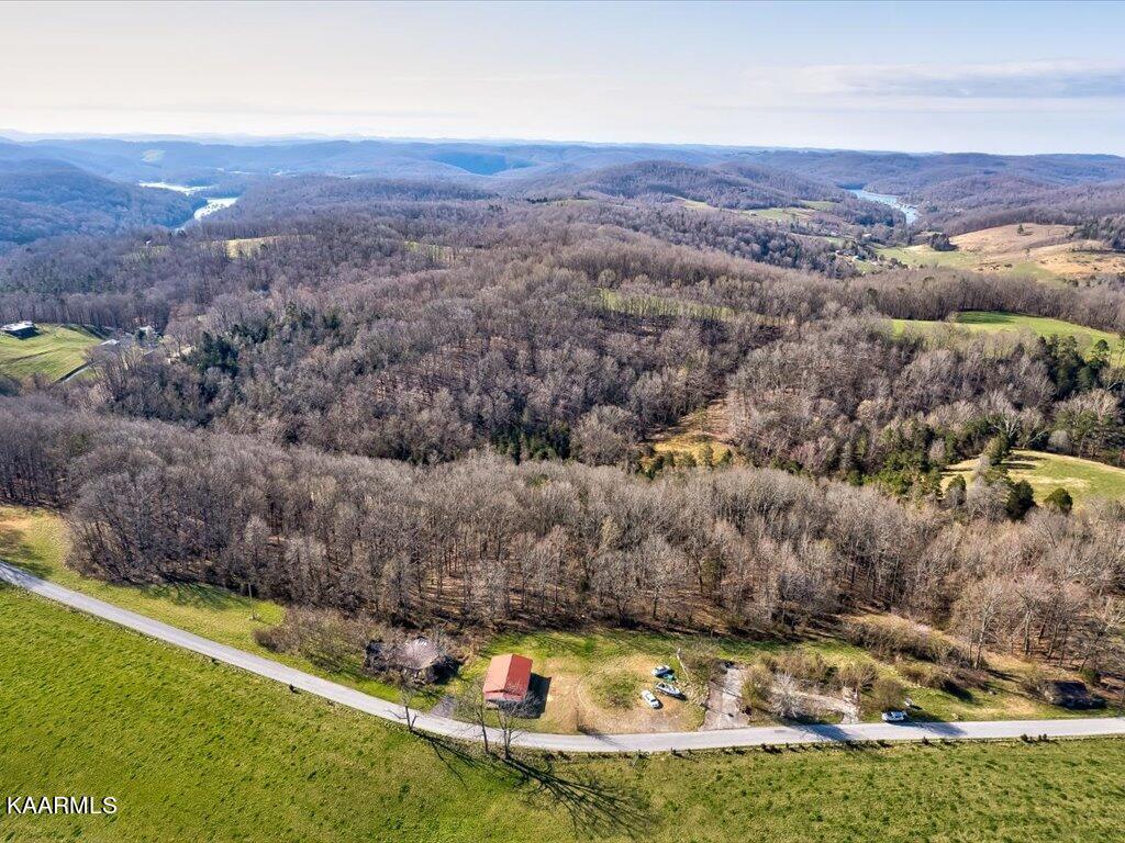2 Wilson Road Speedwell, TN 37870 - Photo 18 of 28 Tract 2 Wilson Road - 18