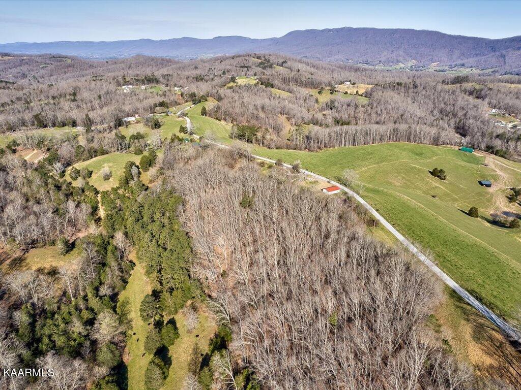 2 Wilson Road Speedwell, TN 37870 - Photo 20 of 28 Tract 2 Wilson Road - 20
