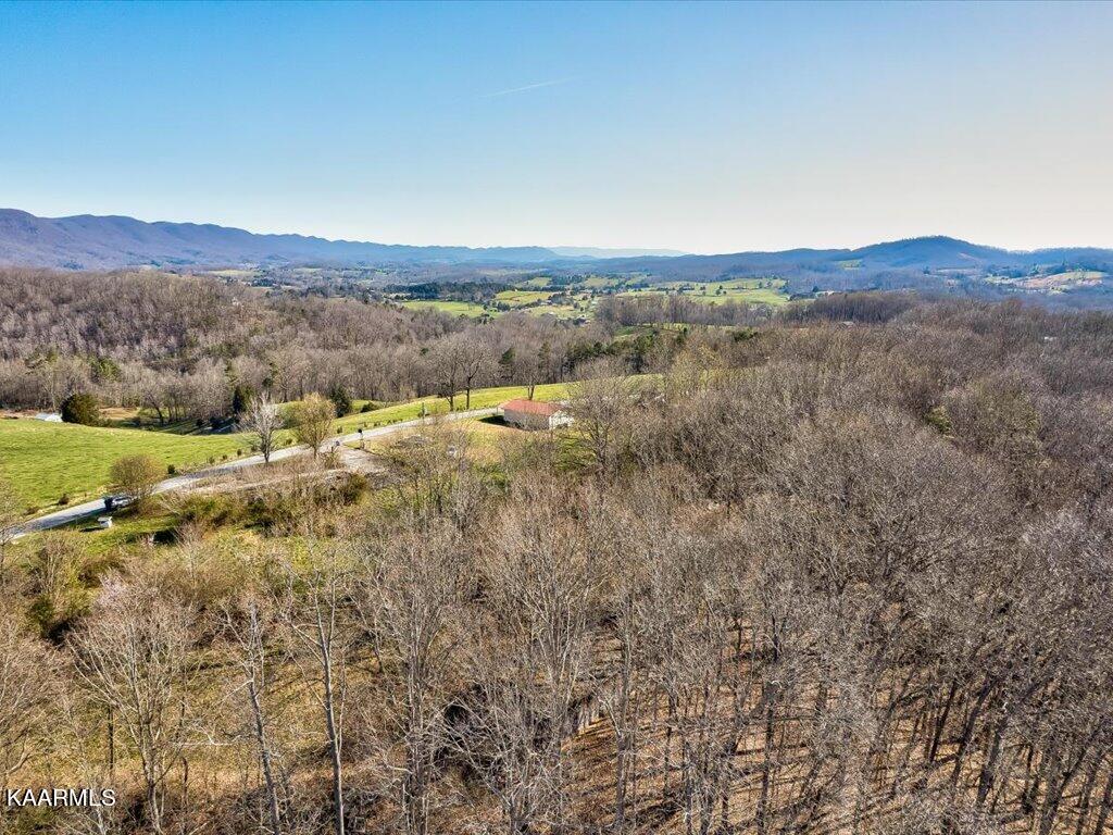 2 Wilson Road Speedwell, TN 37870 - Photo 26 of 28 Tract 2 Wilson Road - 26