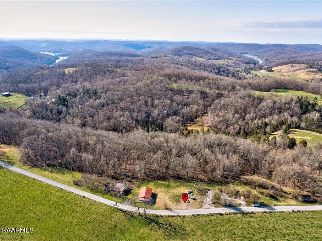 2 Wilson Road Speedwell, TN 37870 - Photo 4 of 28 Tract 2 Wilson Road - 4