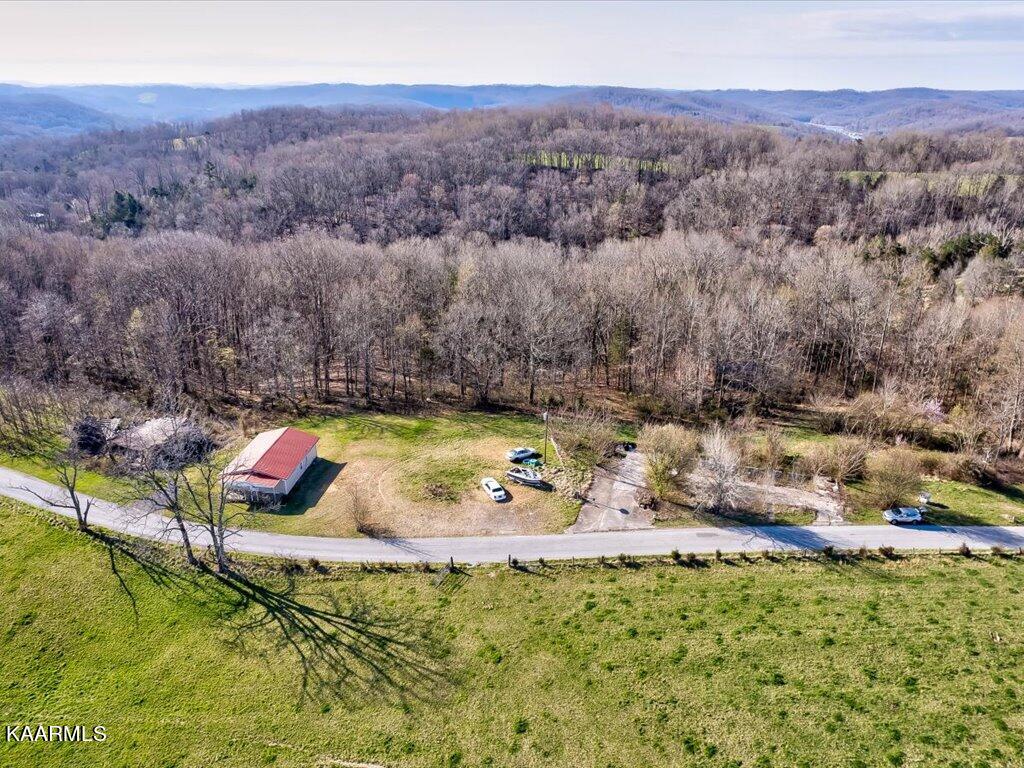 2 Wilson Road Speedwell, TN 37870 - Photo 6 of 28 Tract 2 Wilson Road - 6