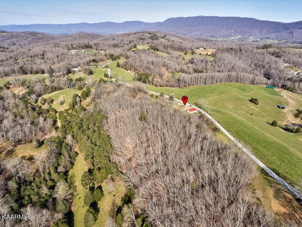2 Wilson Road Speedwell, TN 37870 - Photo 7 of 28 Tract 2 Wilson Road - 7