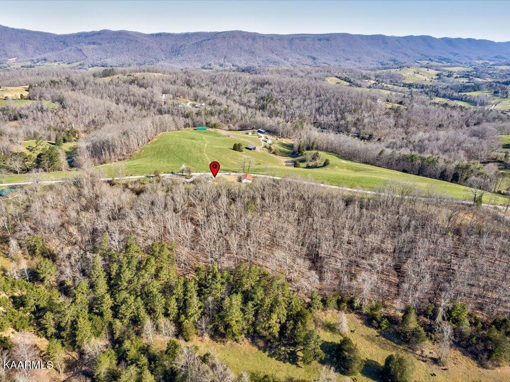 2 Wilson Road Speedwell, TN 37870 - Photo 8 of 28 Tract 2 Wilson Road - 8