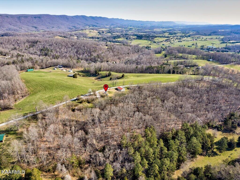 2 Wilson Road Speedwell, TN 37870 - Photo 9 of 28 Tract 2 Wilson Road - 9