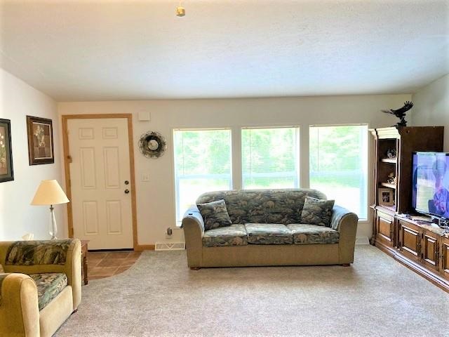 2883 Klender Road Rhodes, MI 48652 - Photo 11 of 29