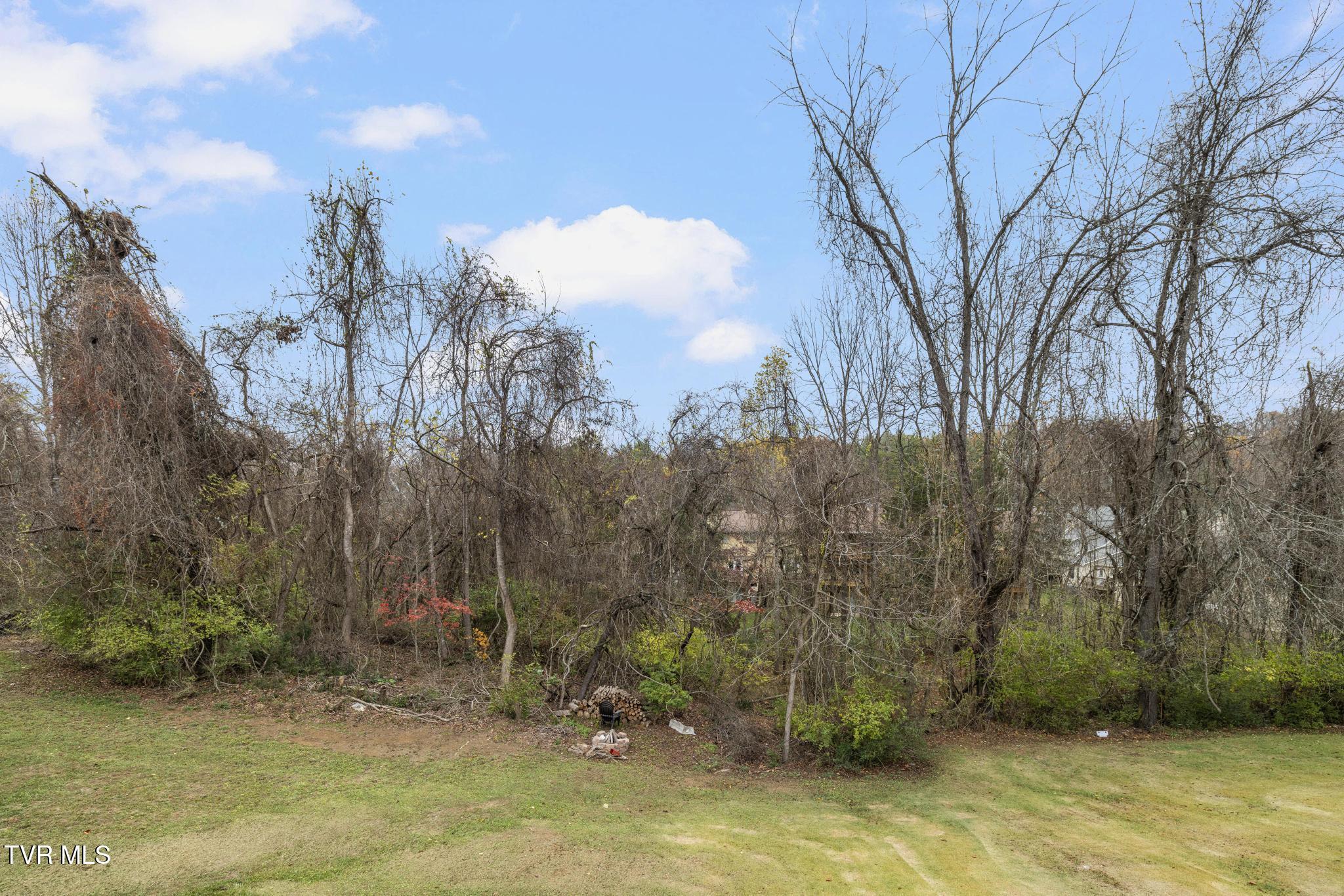 416 Crestfield Road Bristol, TN 37620 - Photo 35 of 43 View of back yard