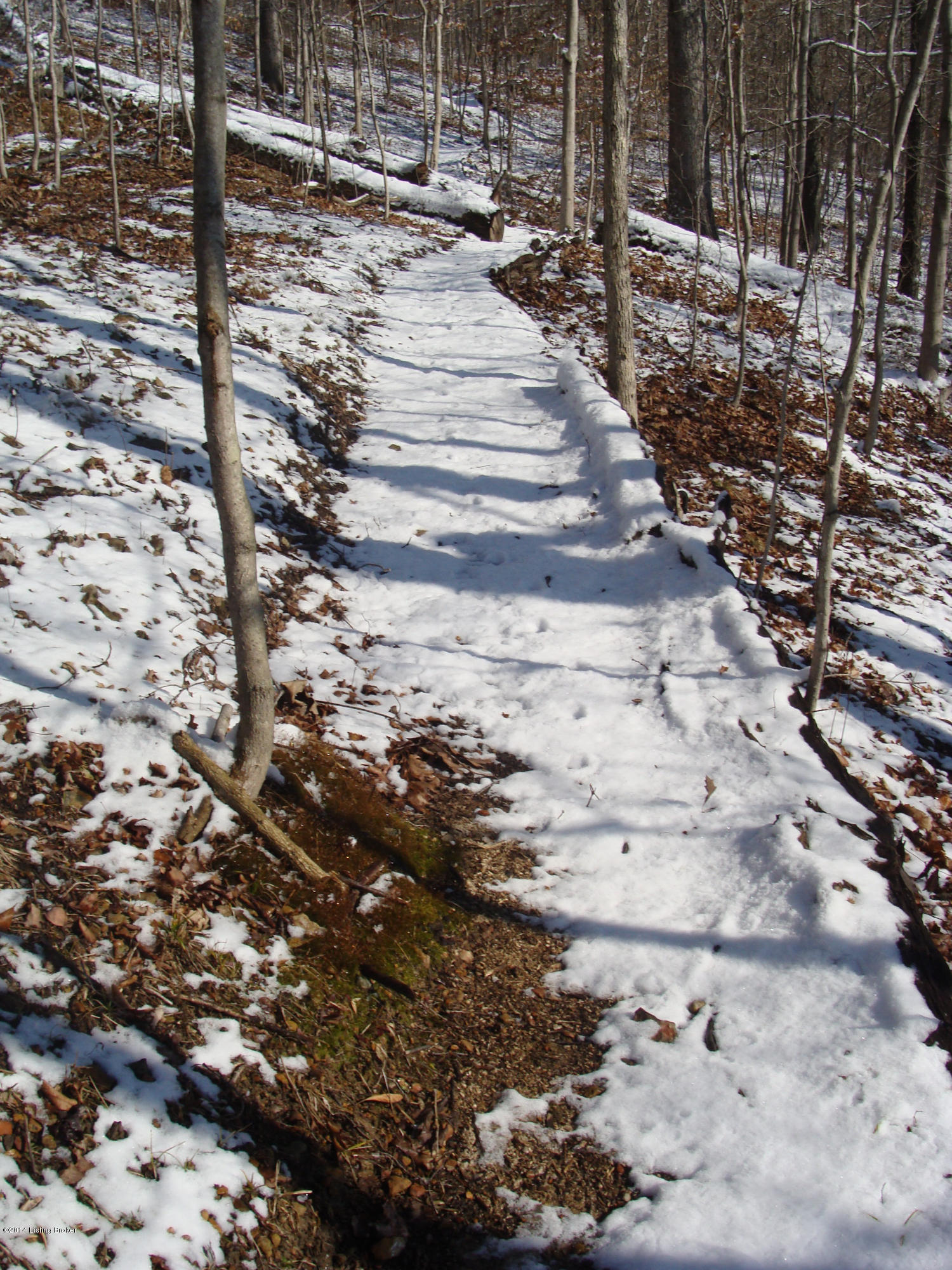 272 Skyview Road West Point, KY 40177 - Photo 24 of 27 Path in Woods 2