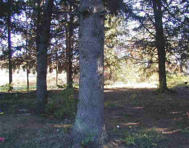 196 Miller Road Schodack, NY 12033 - Photo 3 of 3 Photo 3