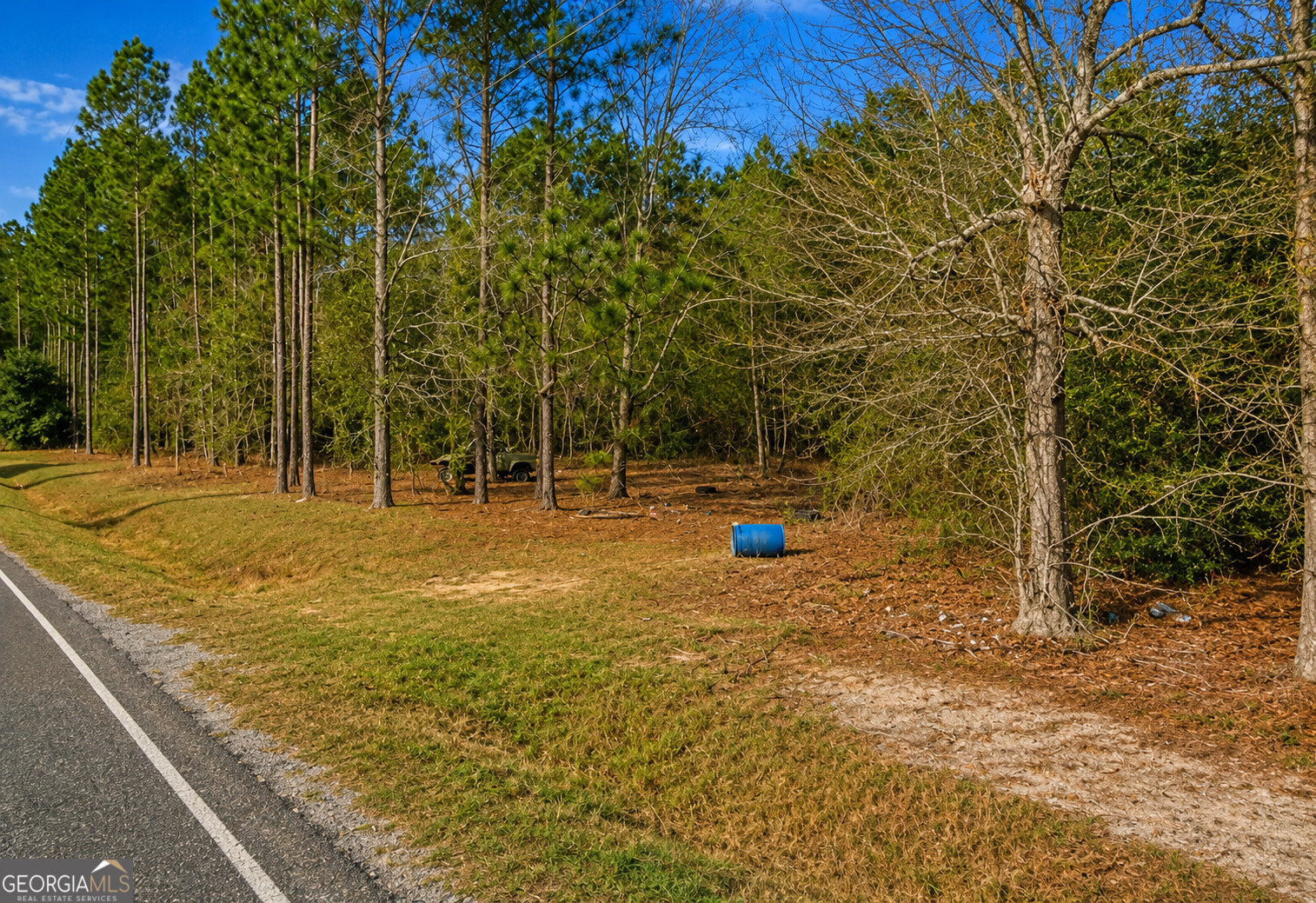 6965 Jim Pruett Road Eastman, GA 31023 - Photo 2 of 6