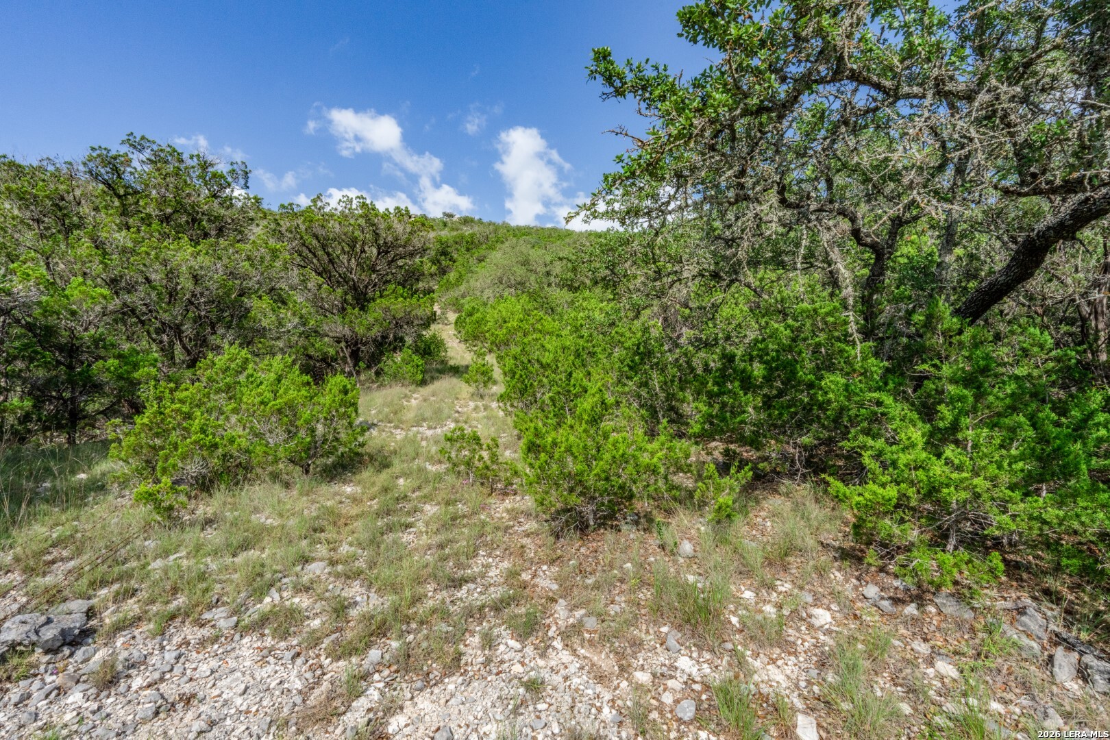 650 Evans Creek Road Vanderpool, TX 78885 - Photo 17 of 28