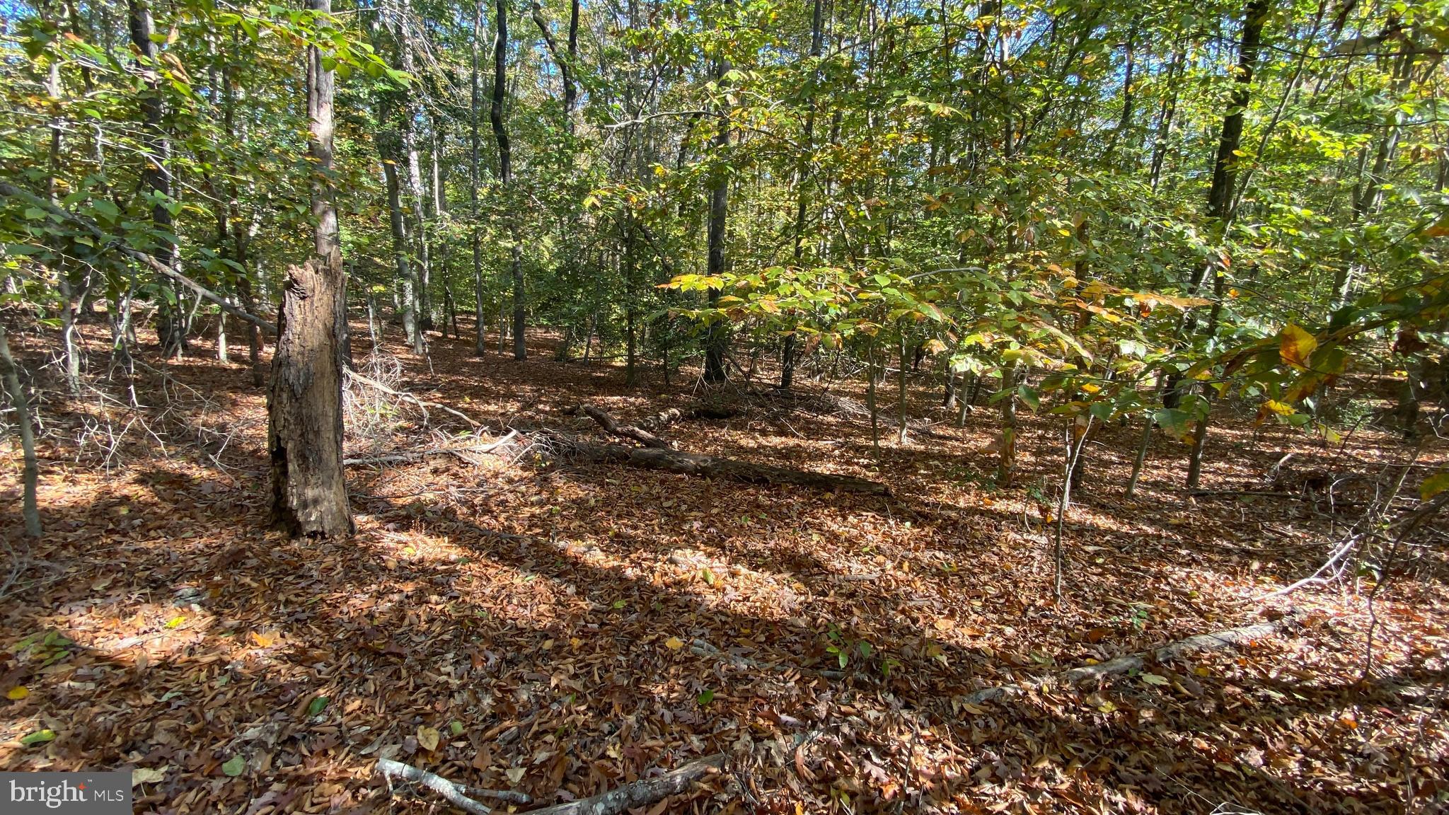 1 Linkins Road Indian Head, MD 20640 - Photo 36 of 42 Gallery Image 36