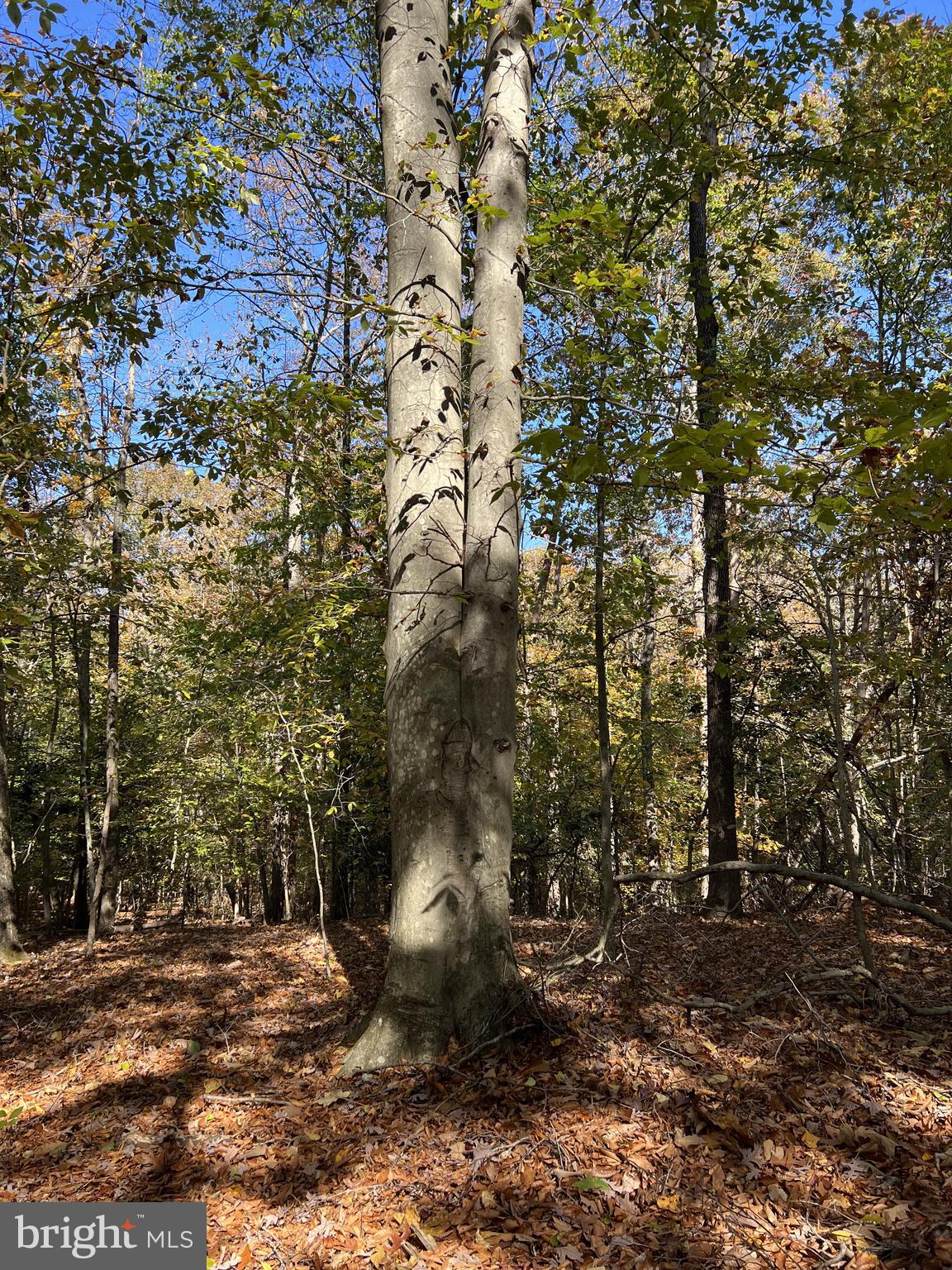 1 Linkins Road Indian Head, MD 20640 - Photo 8 of 42 Gallery Image 8