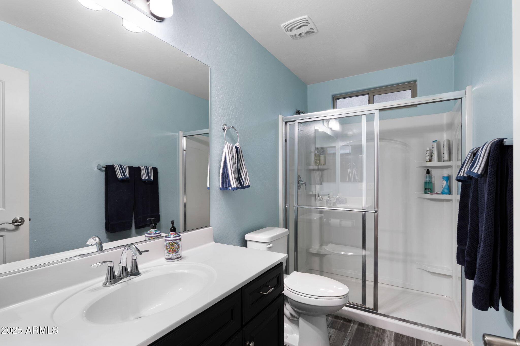 1755 East Mesquite Avenue Apache Junction, AZ 85119 - Photo 13 of 17 a bathroom with a sink toilet and shower