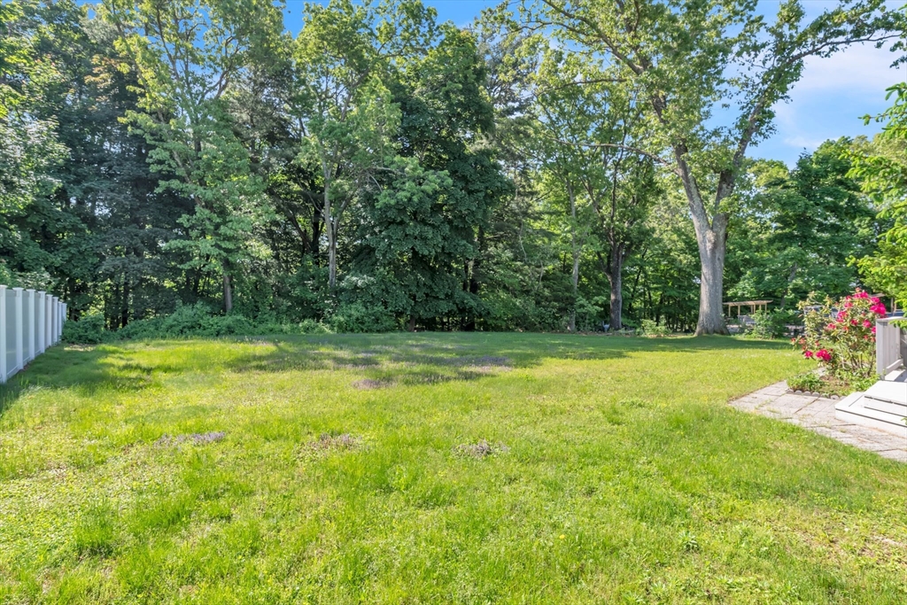 1271 Plumtree Road Springfield, MA 01119 - Photo 37 of 41 a view of a garden with a trampoline