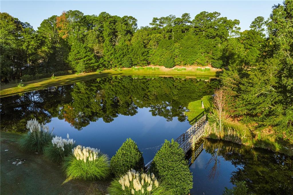 3325 Sweet Basil Lane Southwest Loganville, GA 30052 - Photo 55 of 57