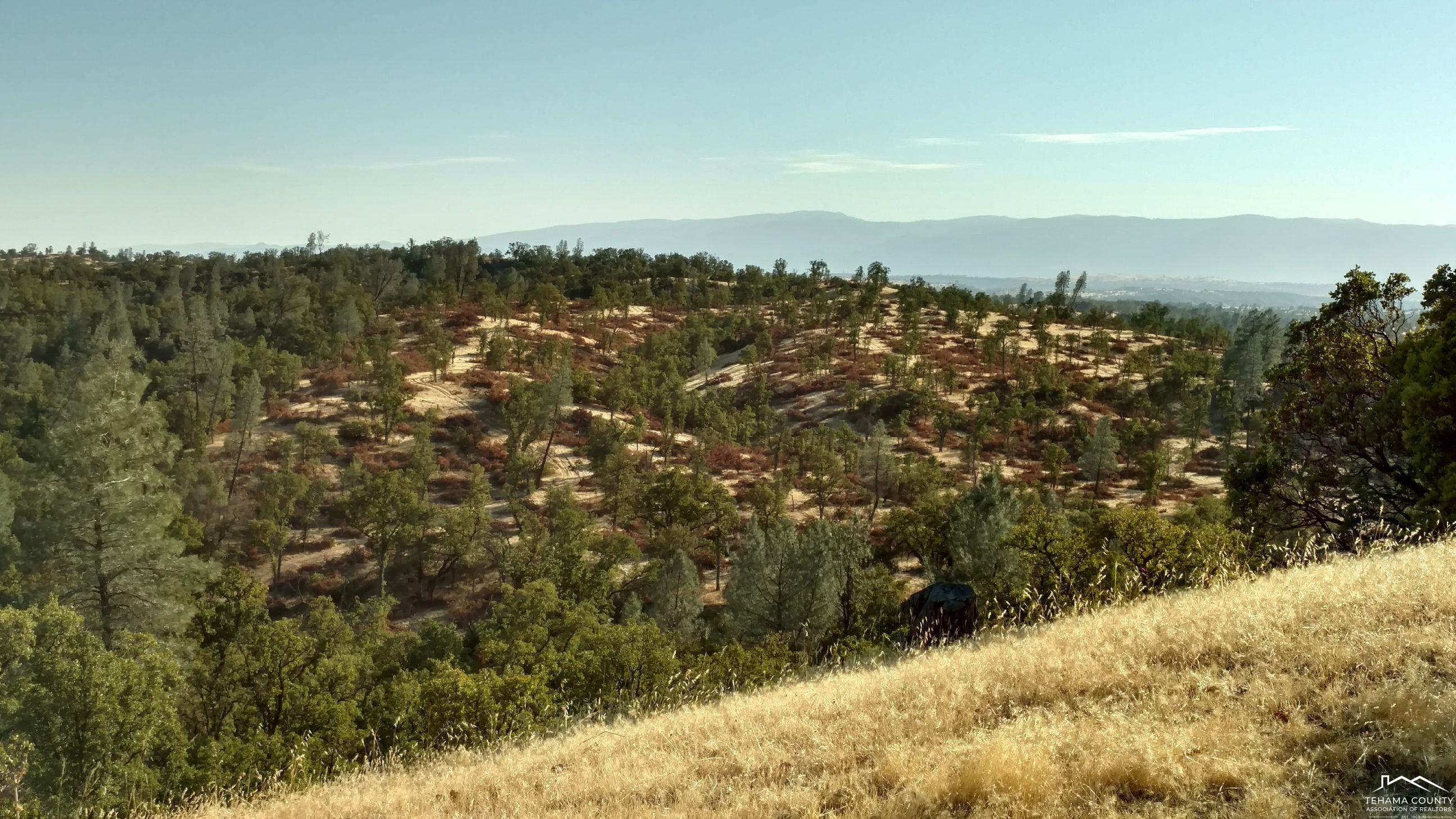 13555 Highway 36 Red Bluff, CA 96080 - Photo 20 of 27