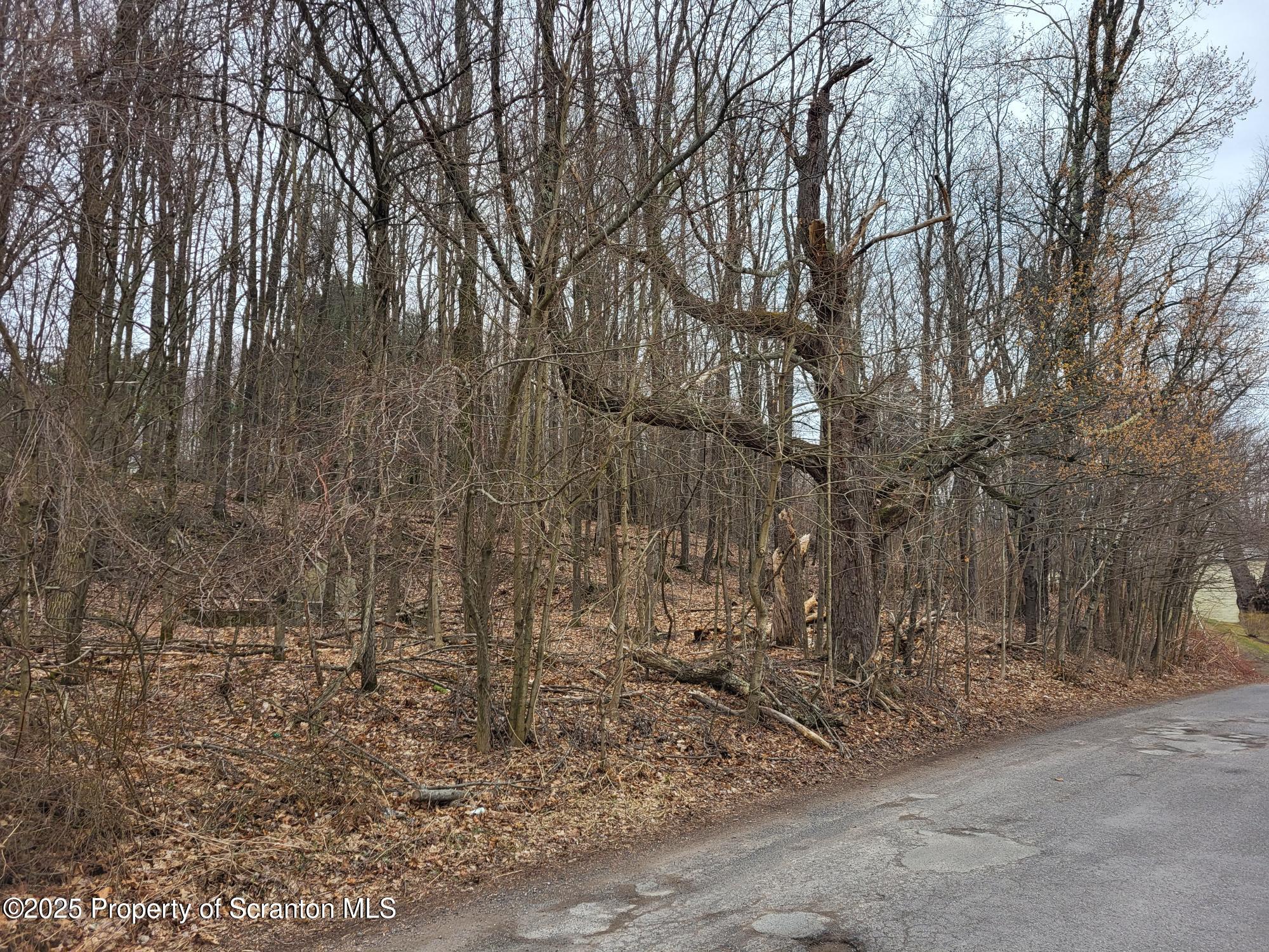 128 Powderly Road Carbondale, PA 18407 - Photo 3 of 5 a backyard of a house with lots of green space