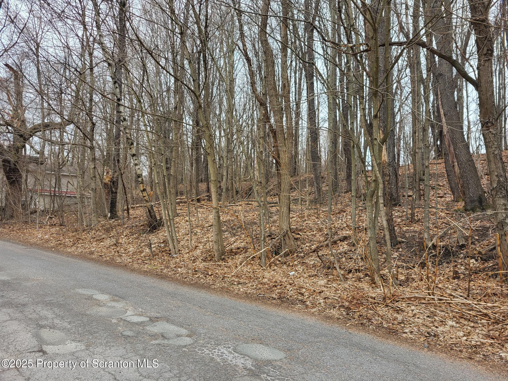 128 Powderly Road Carbondale, PA 18407 - Photo 5 of 5 a backyard of a house with lots of green space