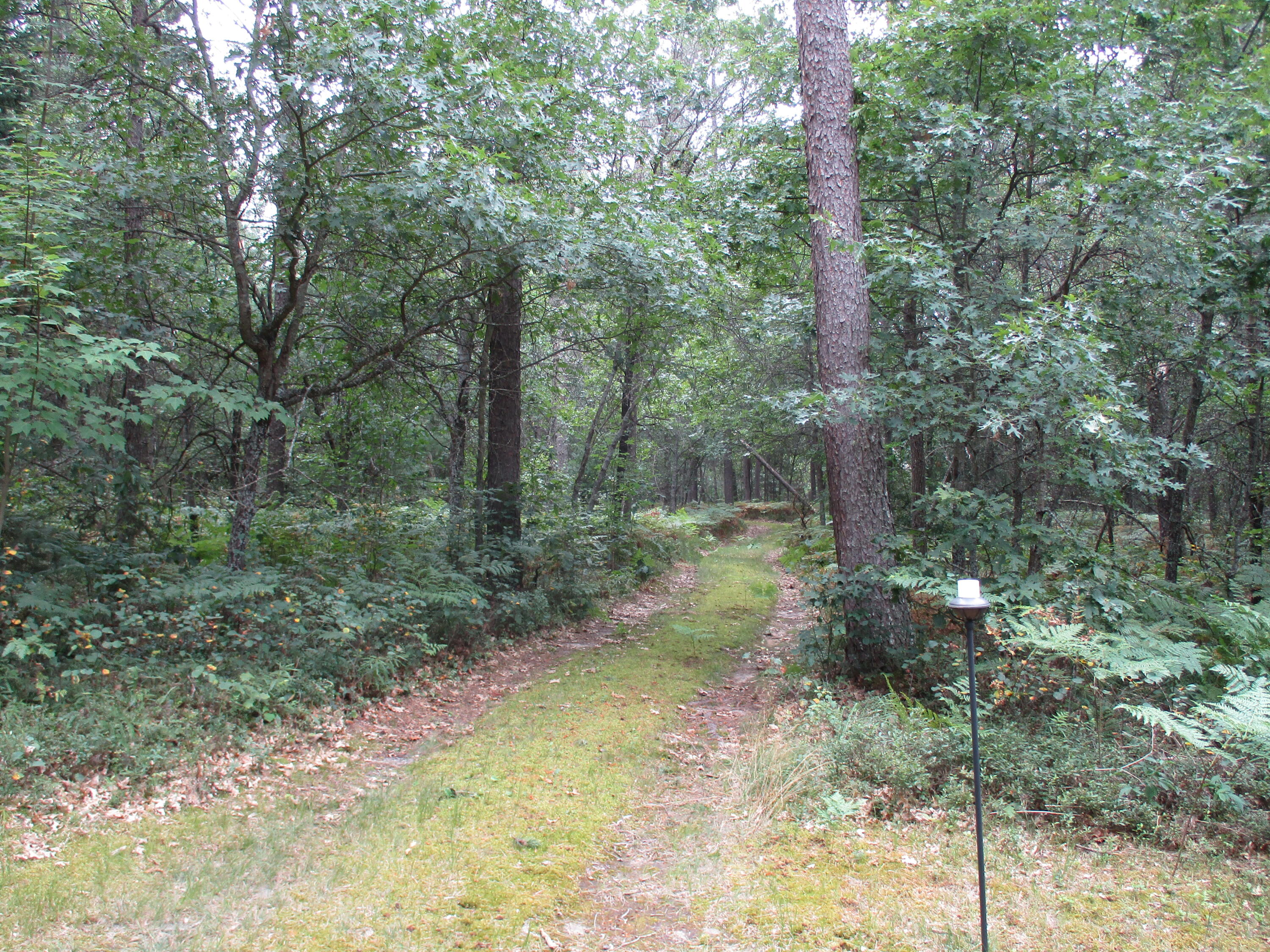 3705 Williams Road Lewiston, MI 49756 - Photo 25 of 25 Gallery Image 25