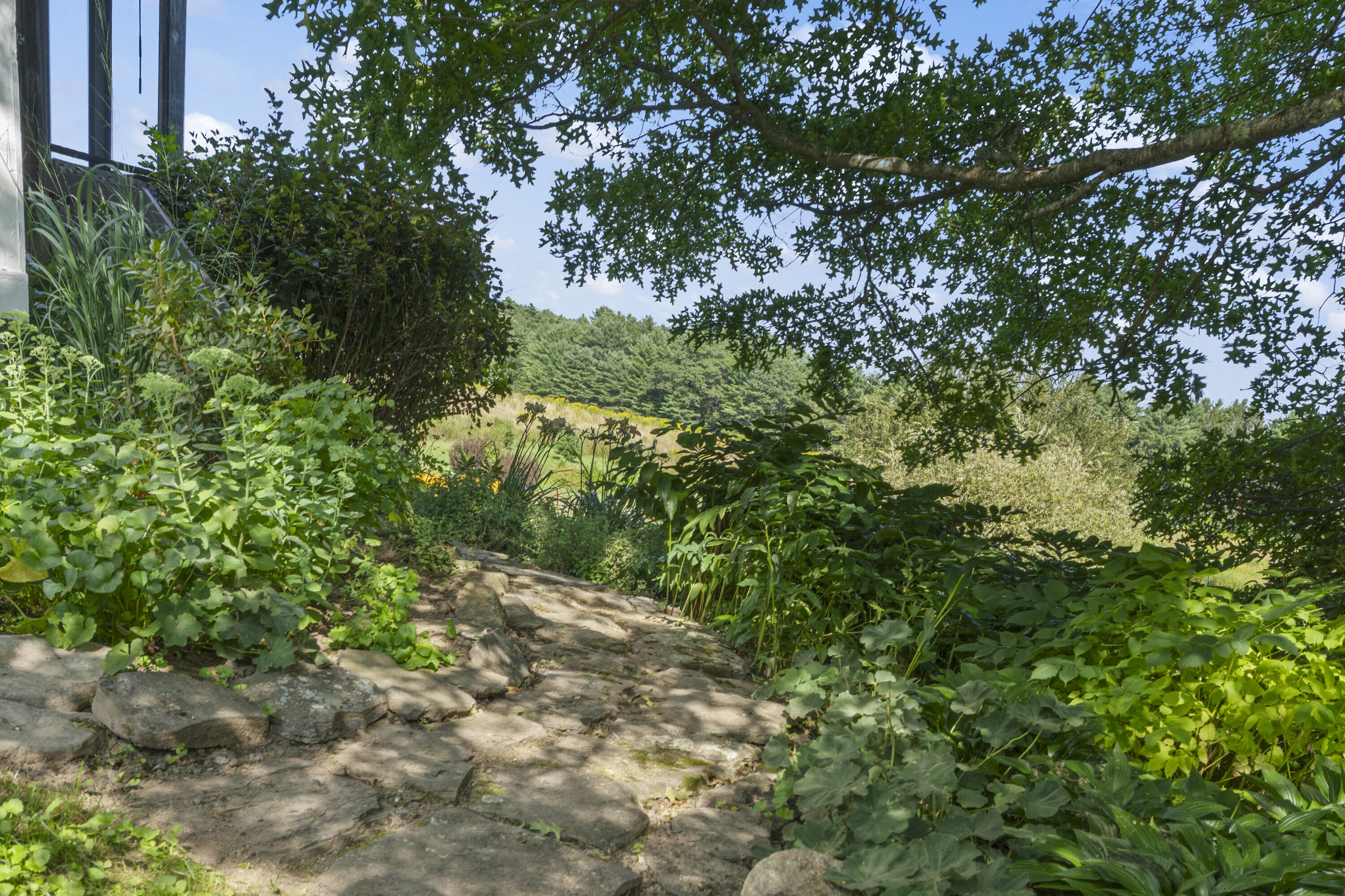 159 Dock Road Alna, ME 04535 - Photo 63 of 78 Beautifully Landscaped Yard