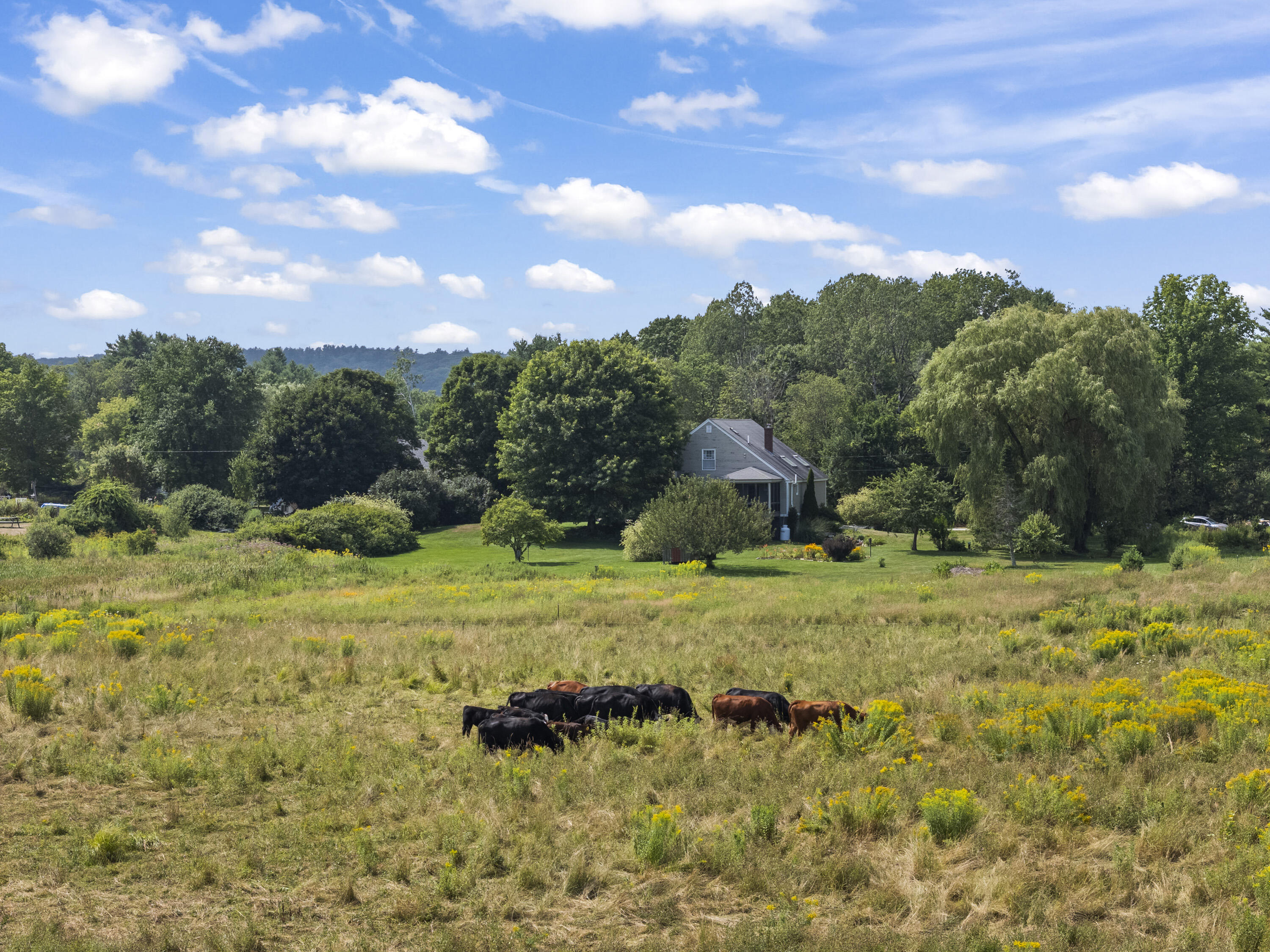 159 Dock Road Alna, ME 04535 - Photo 70 of 78 Beautifully Landscaped Yard