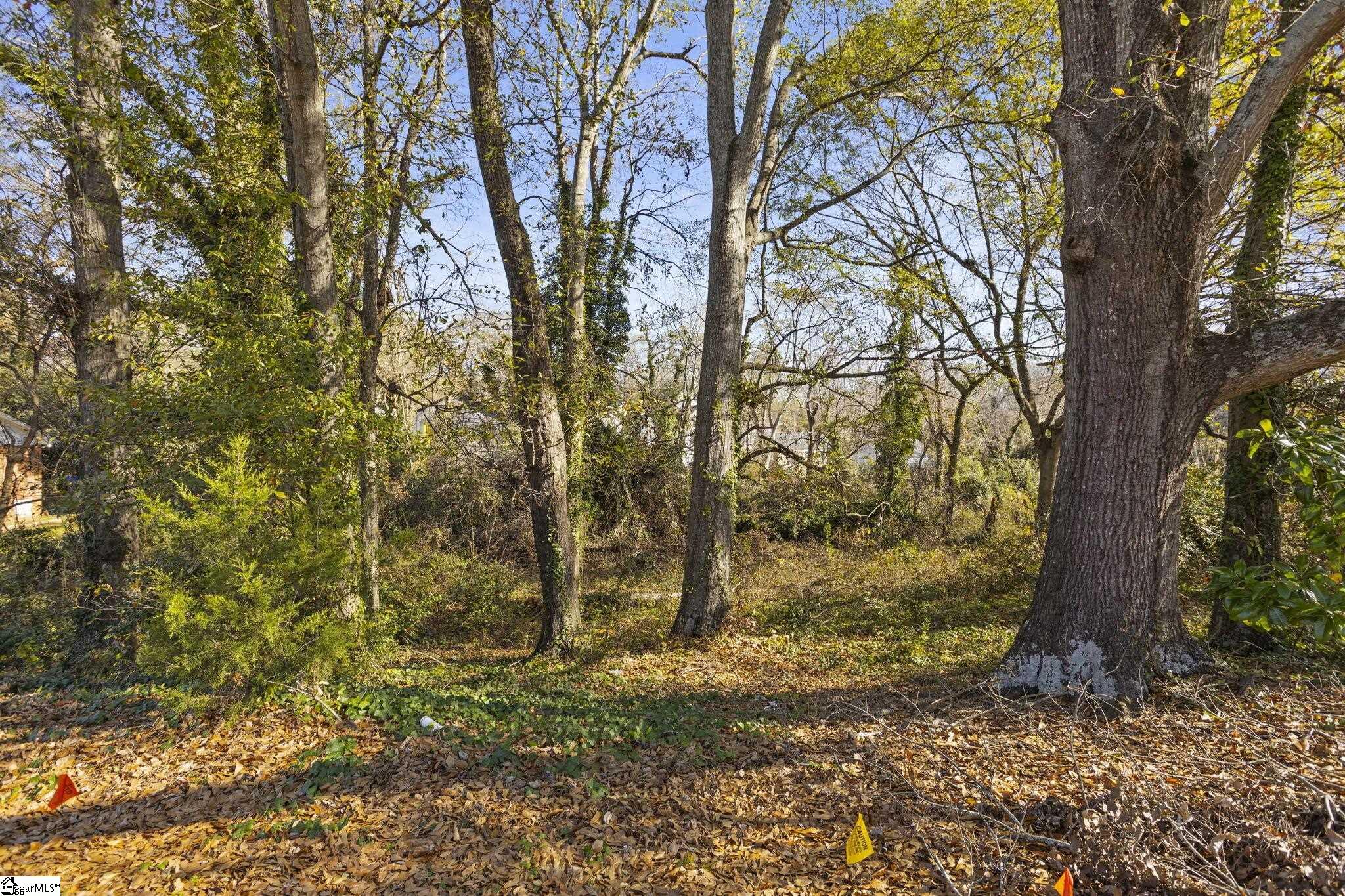 0 Quarter Court Greenville, SC 29607 - Photo 3 of 6