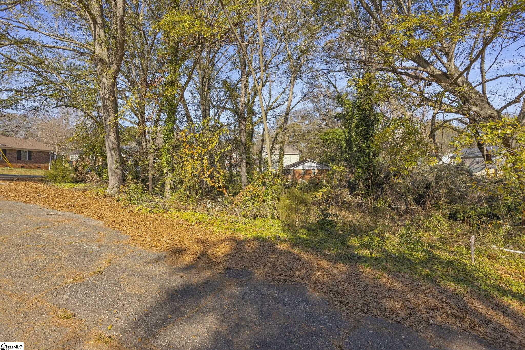 0 Quarter Court Greenville, SC 29607 - Photo 4 of 6