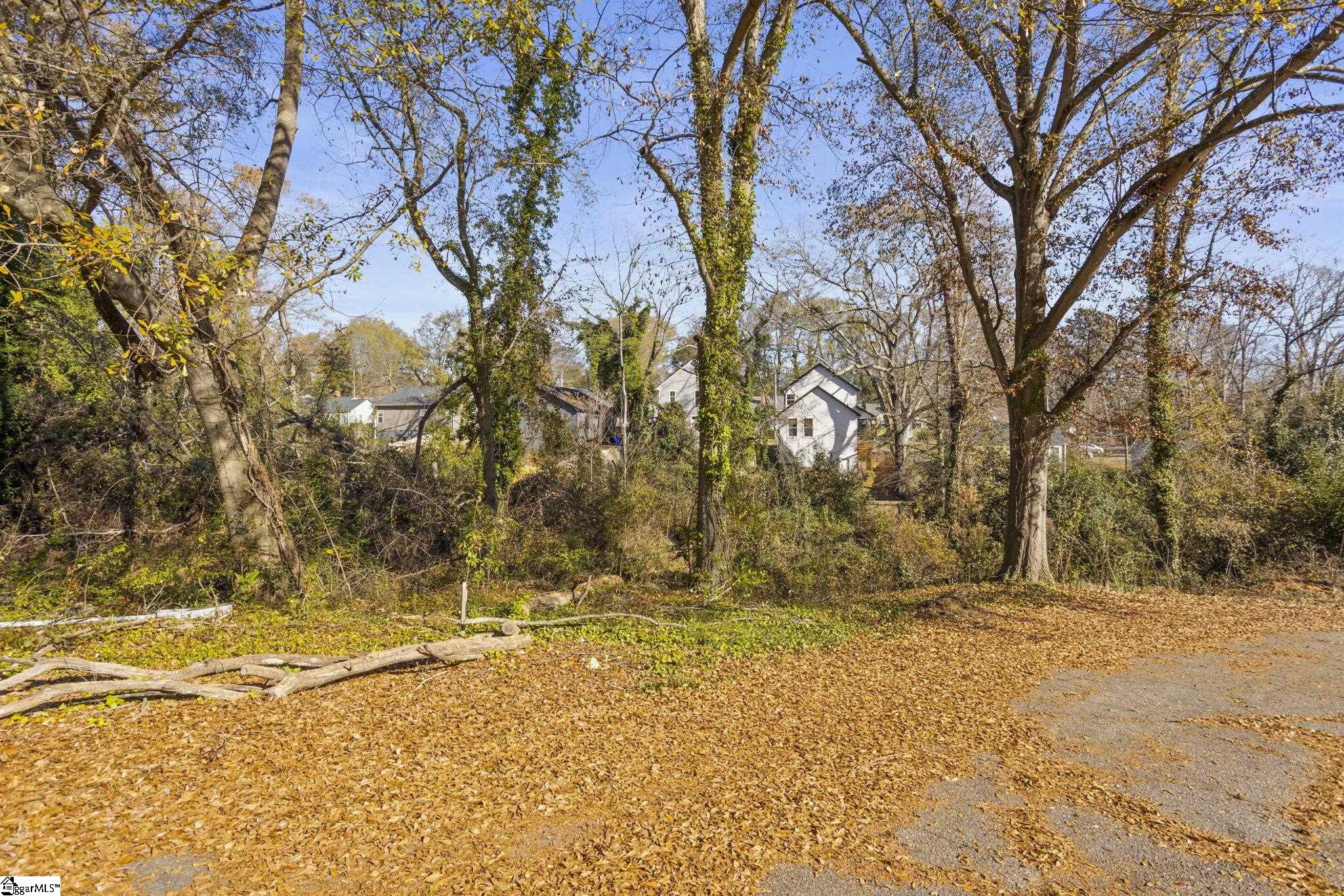 0 Quarter Court Greenville, SC 29607 - Photo 5 of 6