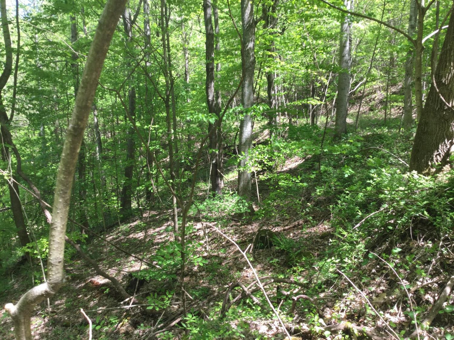3075 Peter Trace Means, KY 40346 - Photo 10 of 56 Photo 10