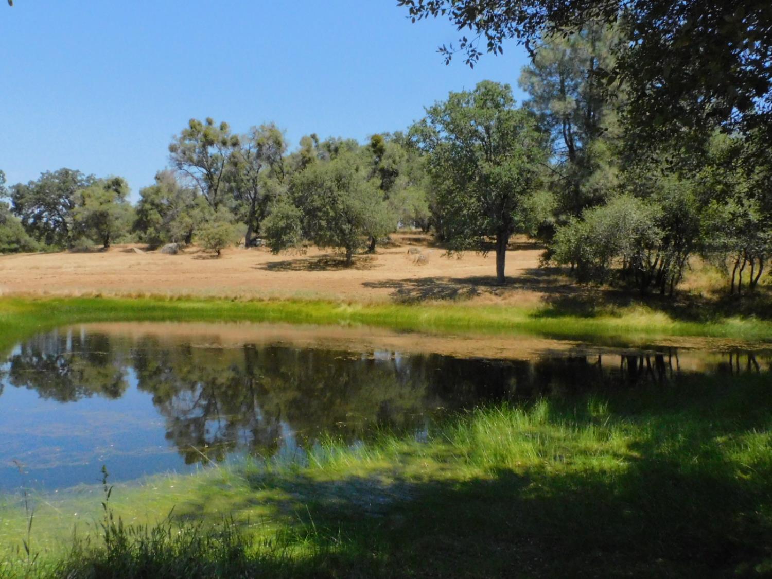 5383 Dream Ranch Circle Placerville, CA 95667 - Photo 96 of 99