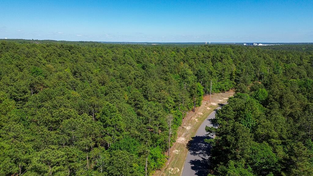 0 Mt Zion Road, Unit 3 Trenton, SC 29847 - Photo 4 of 26