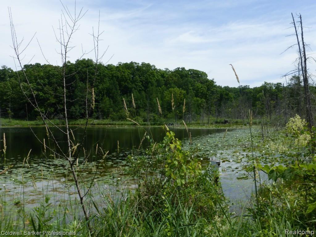11350 Clark Road Davisburg, MI 48350 - Photo 44 of 46 view 3.jpg