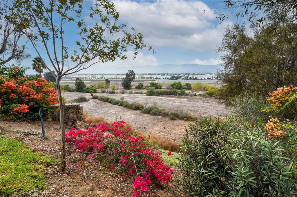 871 Kevin Corona, CA 92878 - Photo 32 of 34 a picture of flowers