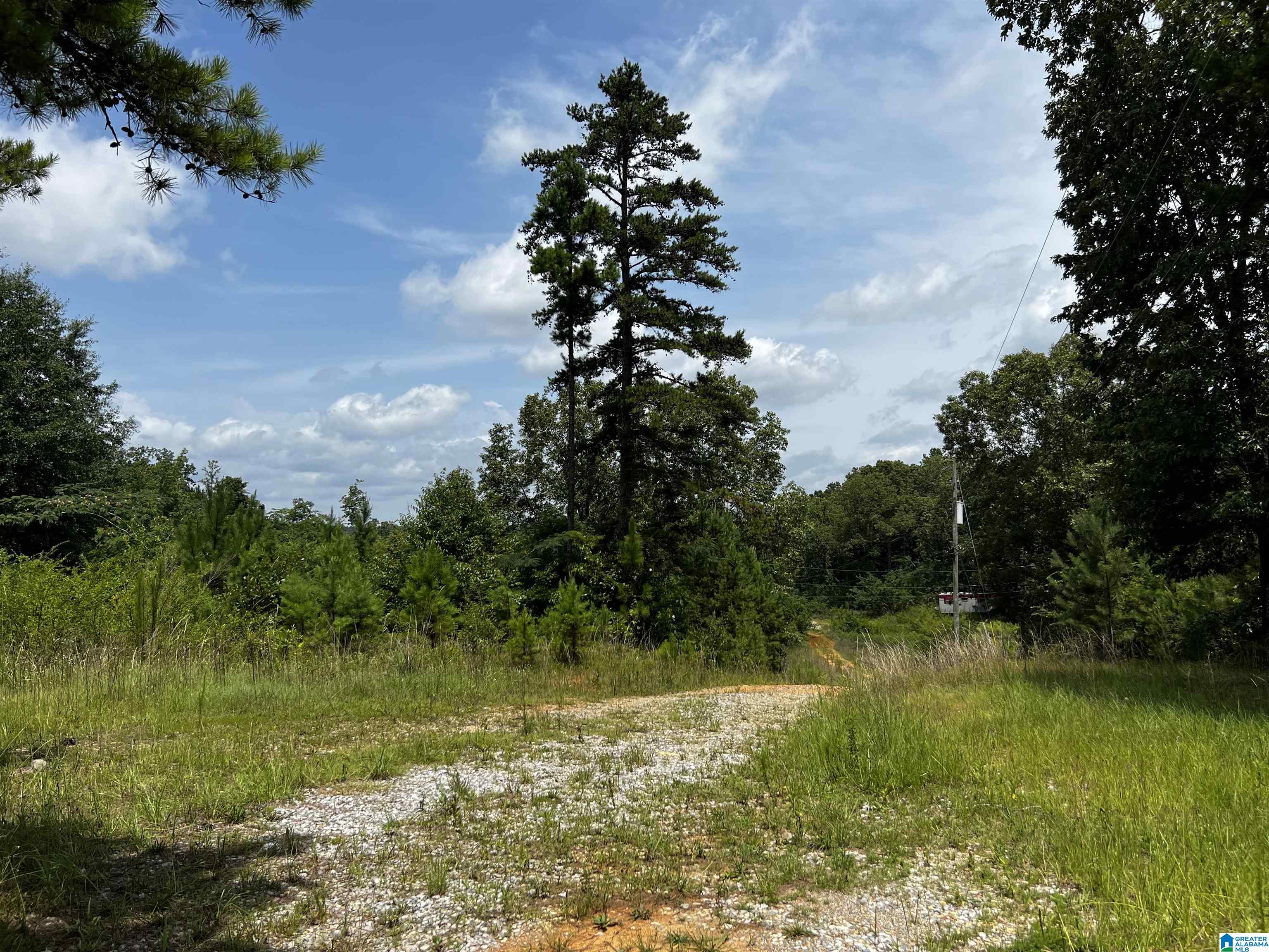 830 Mountain View Road, Unit 1 Talladega, AL 35160 - Photo 9 of 11