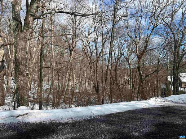 a view of a yard with snow on the road