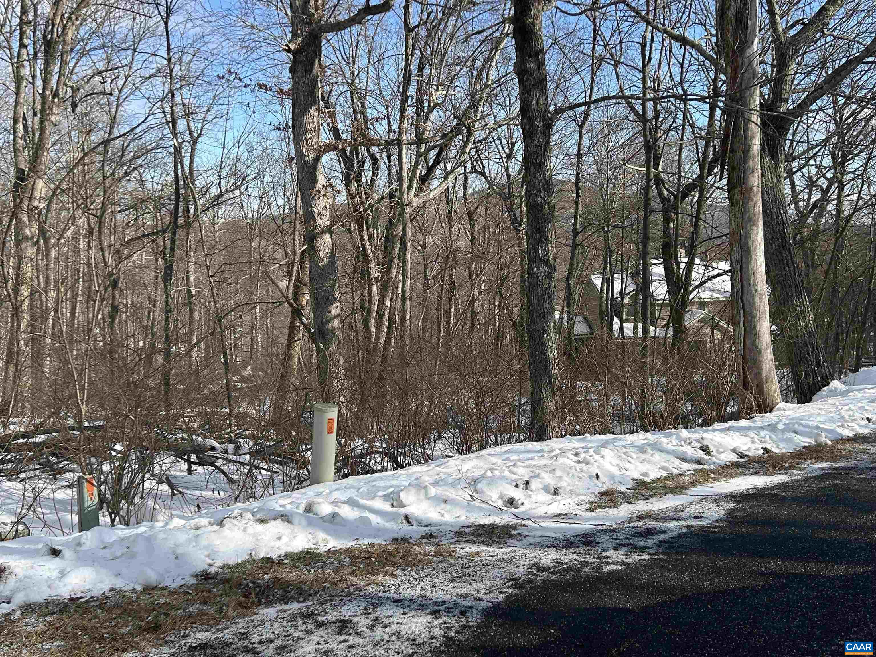 25 Poll Axe Roseland, VA 22967 - Photo 2 of 5 a view of white house with snow on the road
