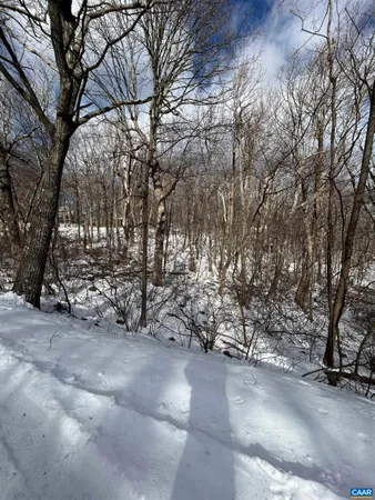 $59,900 | 25 Poll Axe, Roseland, VA 22967