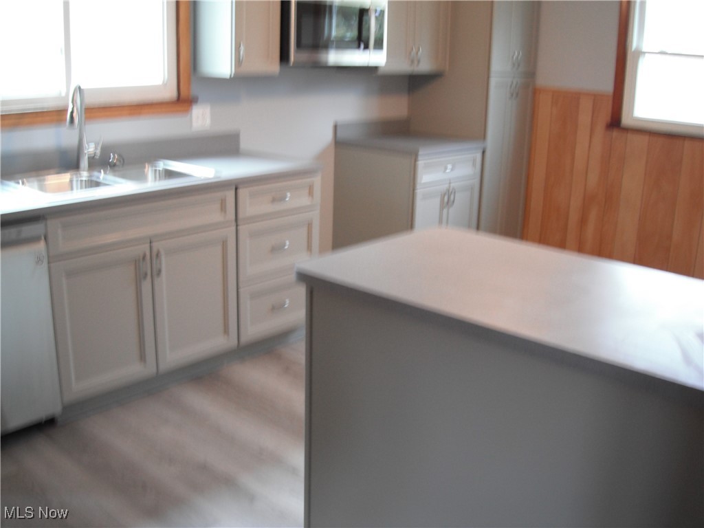 270 North Ridge Road Lorain, OH 44055 - Photo 5 of 24 newer cabinets, flooring