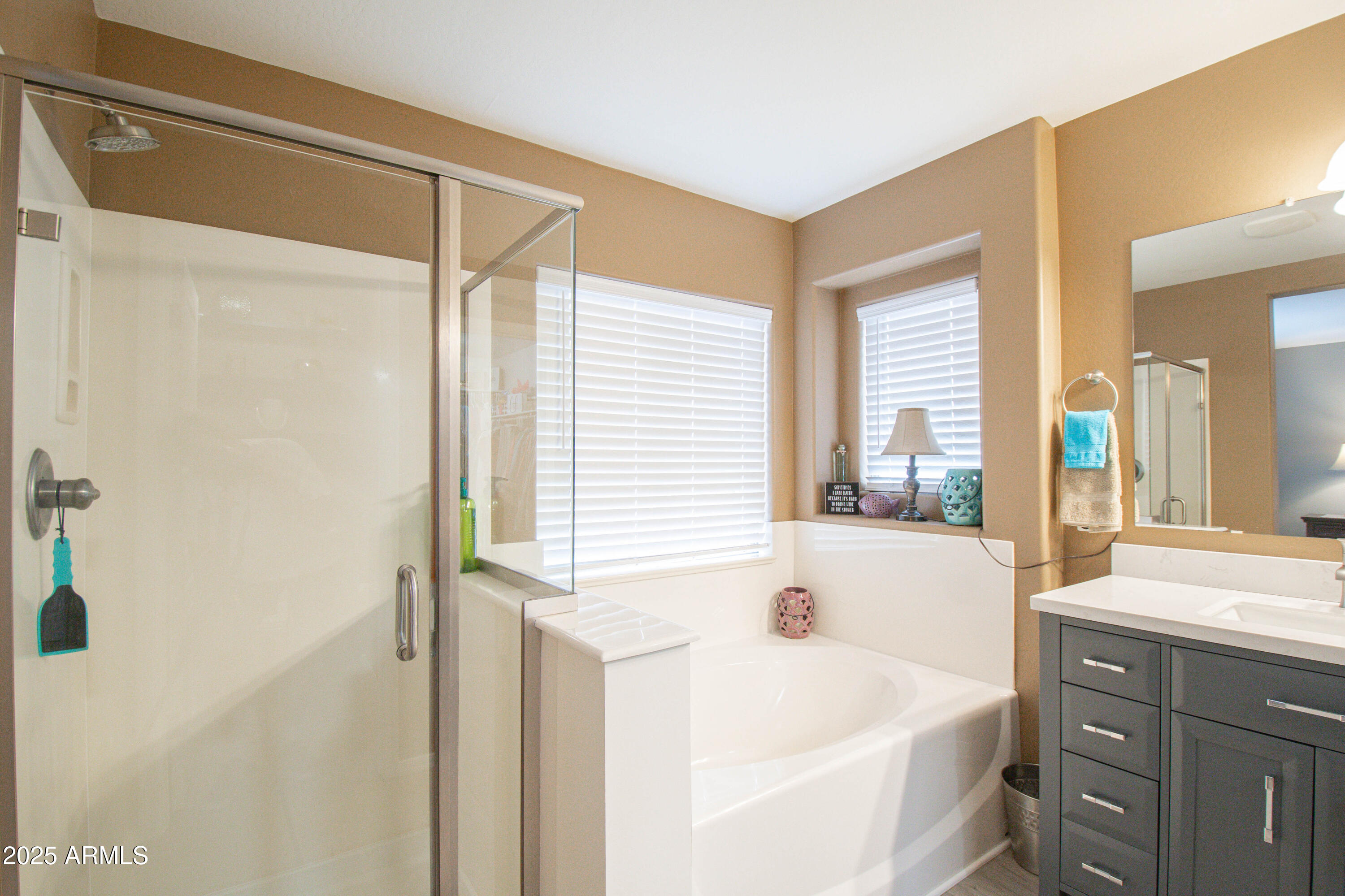3924 South Napa Lane Gilbert, AZ 85297 - Photo 16 of 42 a bathroom with a sink a bathtub and a mirror