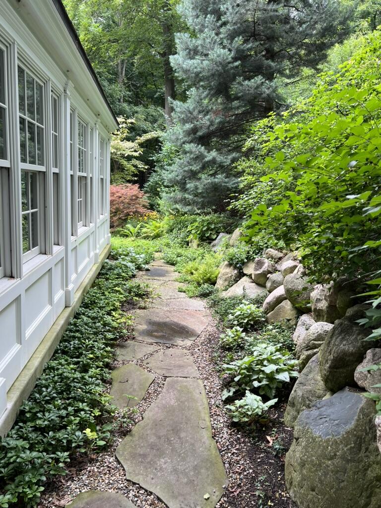 back sidewalk