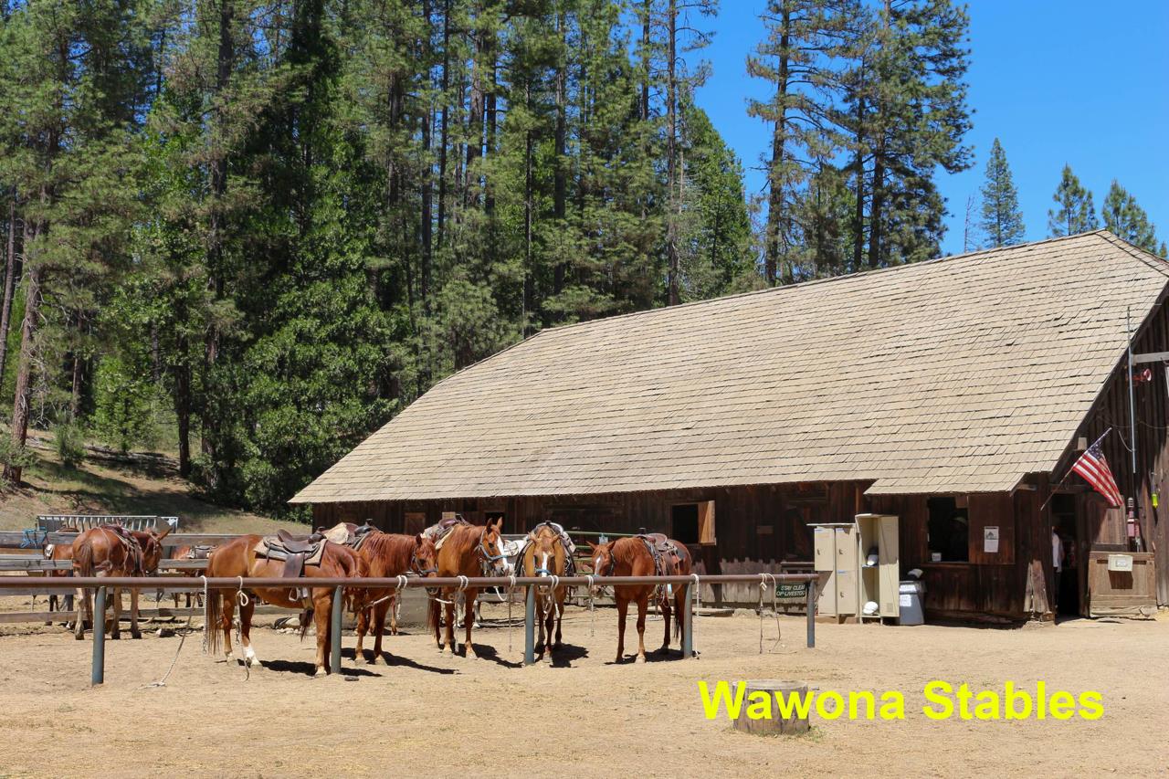 2628 West Bruce Road Wawona, CA 95389 - Photo 33 of 33 an outdoor space with lots of trees
