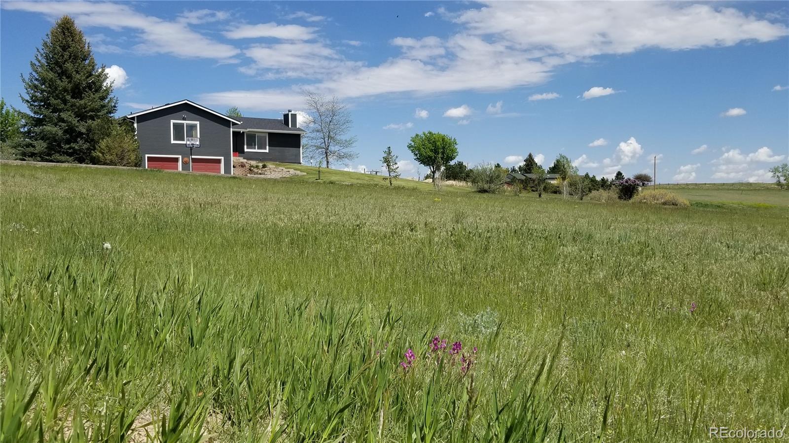 45376 Rampart Road Parker, CO 80138 - Photo 3 of 35 Gallery Image 3