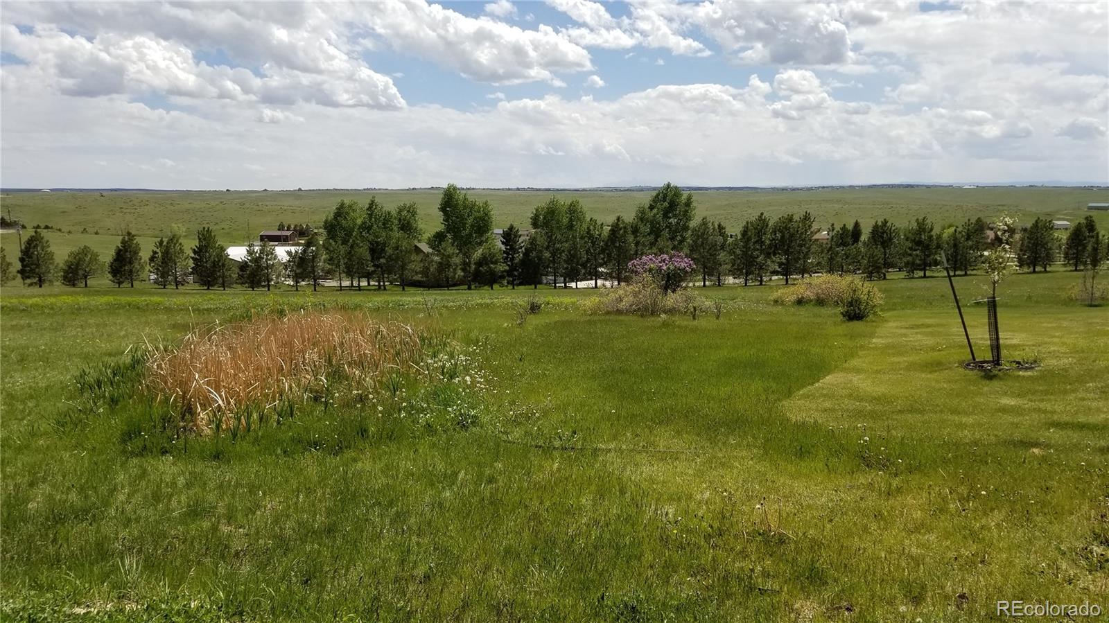 45376 Rampart Road Parker, CO 80138 - Photo 33 of 35 Gallery Image 33