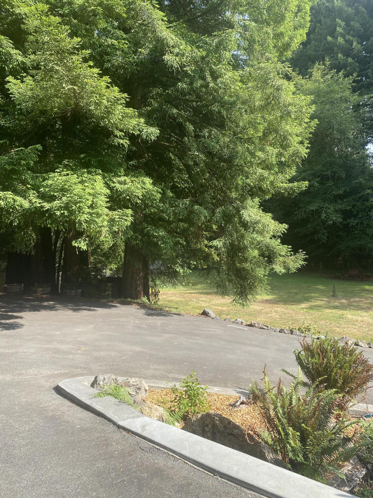 131 Buckley Road Blue Lake, CA 95525 - Photo 11 of 77