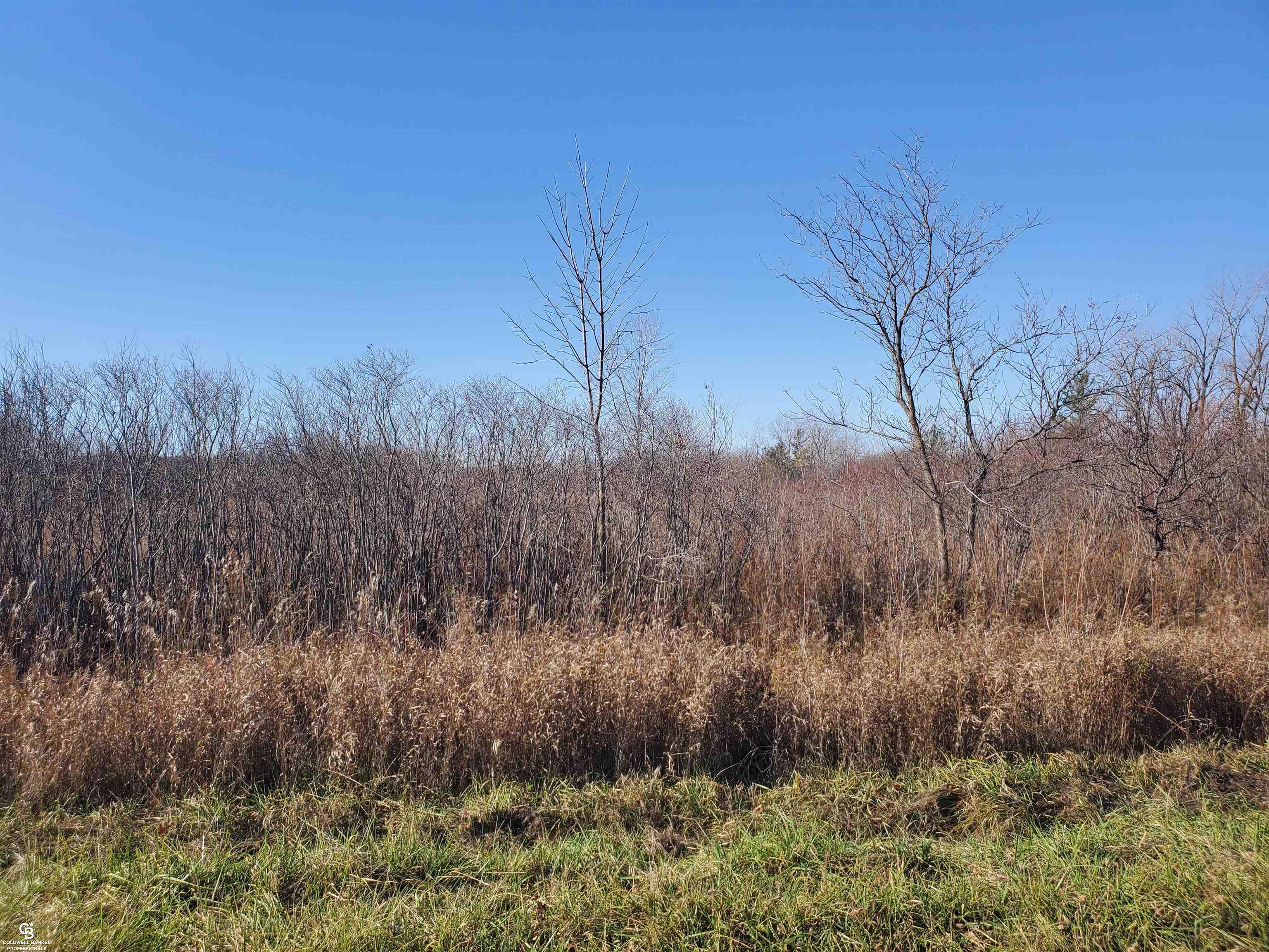 Mason Rd Ville Yale, MI 48097 - Photo 2 of 21