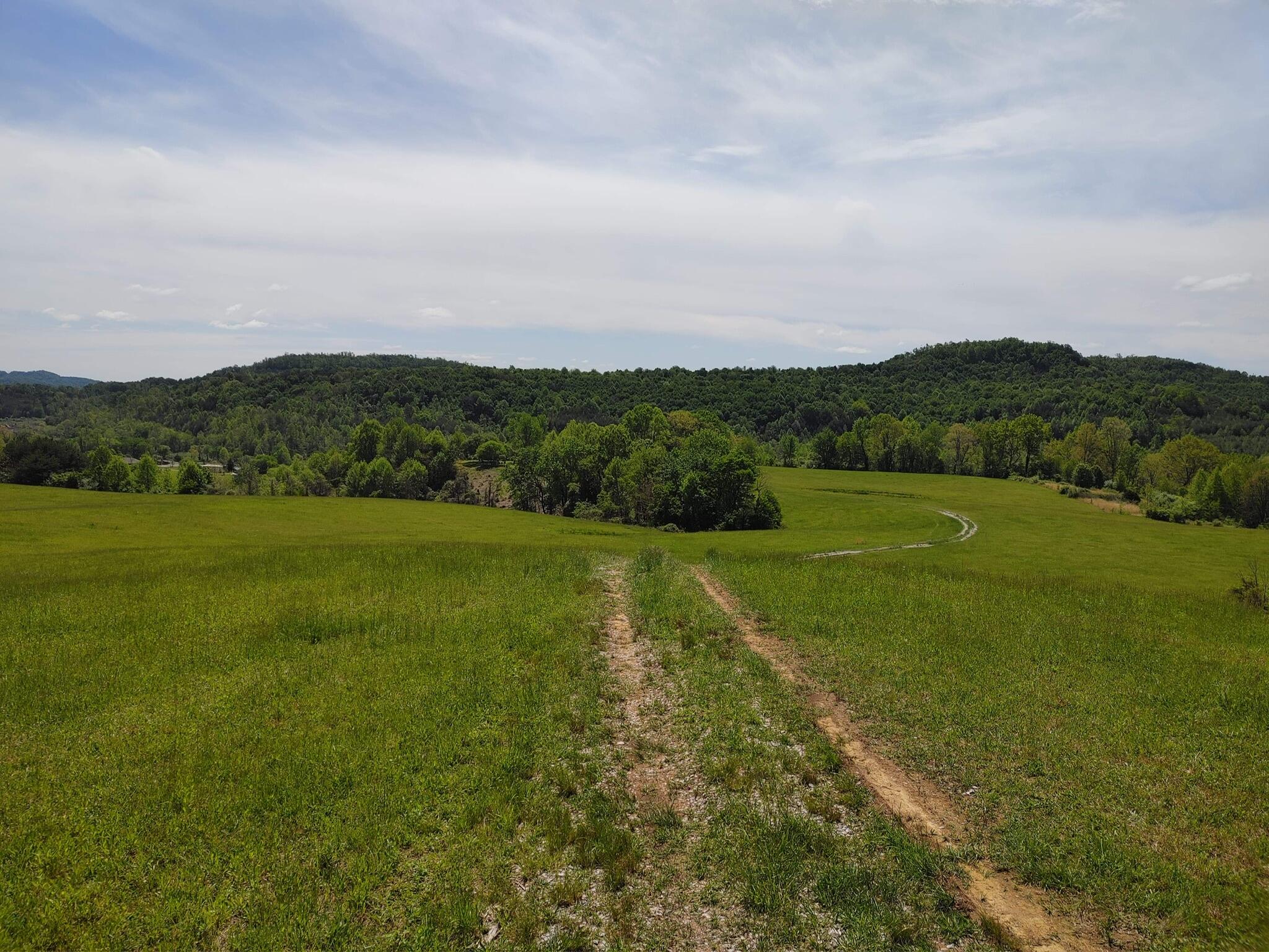 0 Lloyd Hollow Road, Unit TRACT #7 Corbin, KY 40701 - Photo 7 of 7 77367DA0-F2E6-4957-8348-5B9AD77E18E0