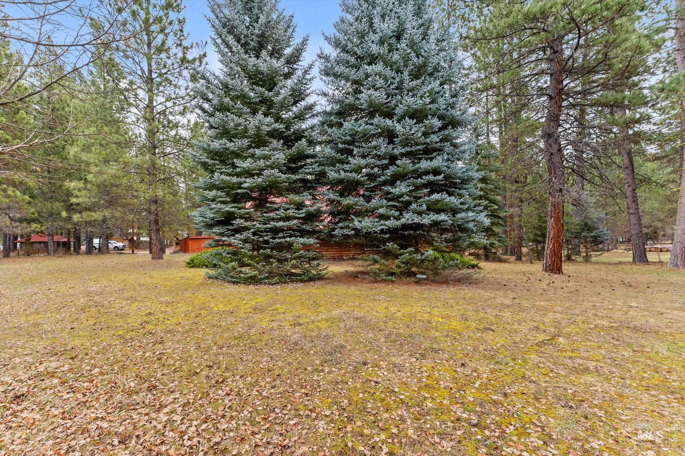 5 Scott Mountain Road Garden Valley, ID 83622 - Photo 27 of 35